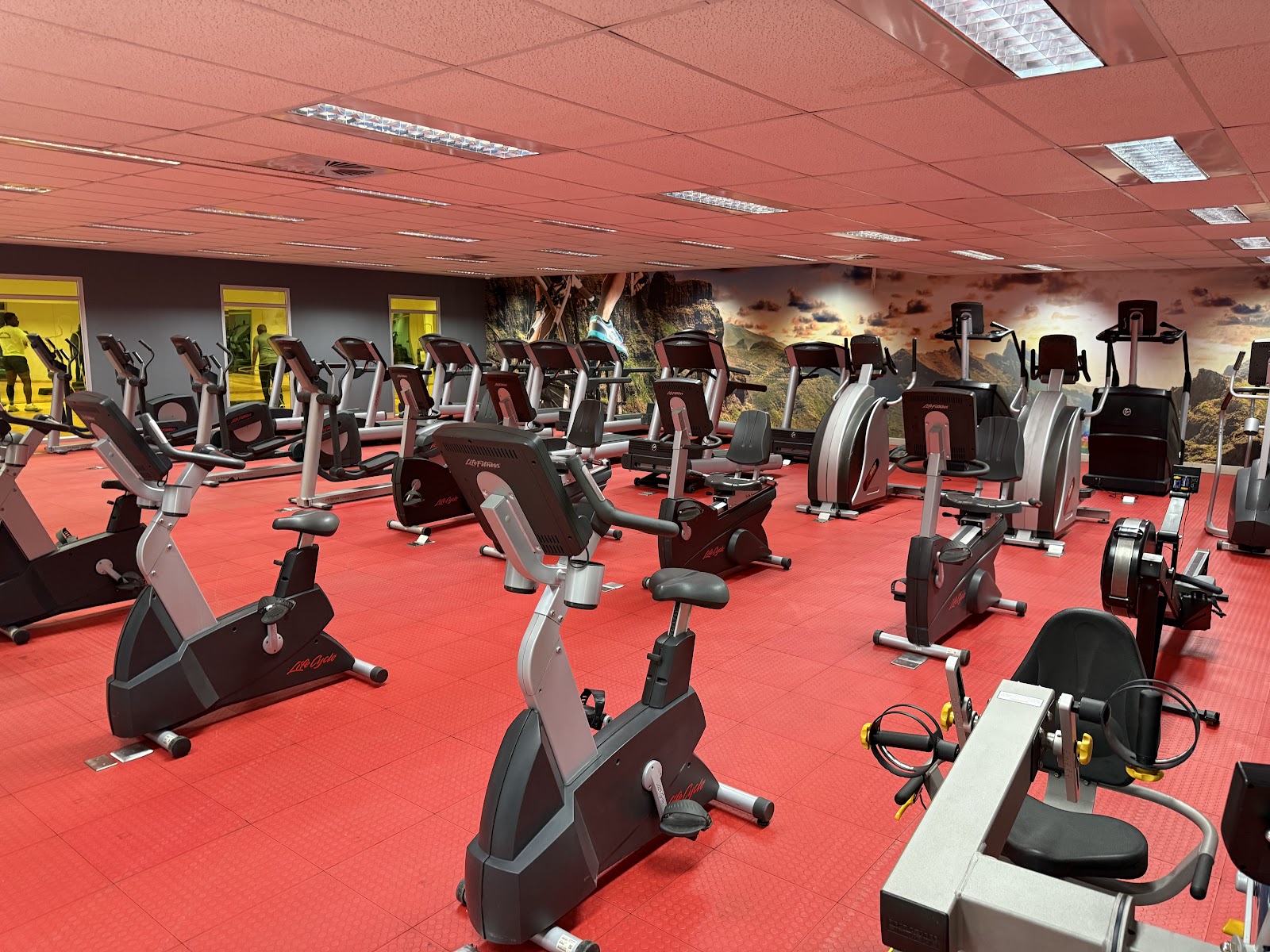 Cardio floor with bikes, ellipticals and treadmills